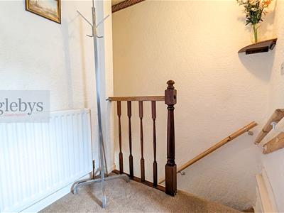 Picture 11